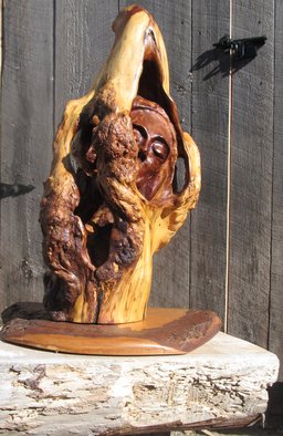 John Clarke; First Born, 2010, Original Sculpture Wood, 14 x 28 inches. Artwork description: 241 Mather, father and baby share space in a black cherry burl...
