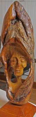 John Clarke; Sleeper, 2006, Original Sculpture Wood, 14 x 25 inches. Artwork description: 241 A sleeping dreamer rests within a black cherry burl...