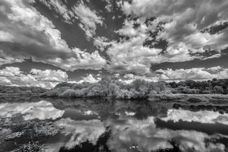 Jon Glaser, 'Myakka Dream', 2015, original Photography Black and White, 38 x 56  x 1 inches. Artwork description: 1911  Myakka State Park is located in Sarasota, Florida. This particular area, located near the park entrance, was extremely quite. The water was like a glass mirror.This limited- edition photograph, measuring approximately 40