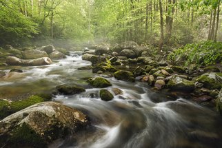 Jon Glaser; S Curve In The Smokies, 2016, Original Photography Color, 16 x 24 inches. Artwork description: 241  While in Tremont, Tennessee, I came across a succession of waterfalls in the smoky mountains national park.This limited- edition photograph, measuring approximately 16x24, is printed on fade- resistant Museo Silver Rag paper that has no optical brighteners. The image has been varnished with a protective coating ...