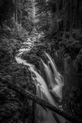 Jon Glaser, 'Sound Of Strength', 2015, original Photography Black and White, 38 x 56  x 1 inches. Artwork description: 1911    Near the center of the Park, Sol Duc Falls, is a little bit less than a mile walk in the Olympic National Park in the State of Washington.This limited- edition photograph, measuring approximately 40