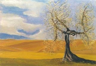 Jean Pierre Vets; Olivier, 1998, Original Painting Oil, 60 x 40 cm. Artwork description: 241 Olive tree in a tuscan landscape ( Italy)...