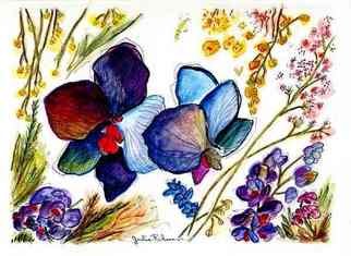 Julie Richman; Blue Orchids 37, 2007, Original Watercolor, 12 x 10 inches. Artwork description: 241   Flowers watercolor original drawing abstract colorful still life nature orchids  ...