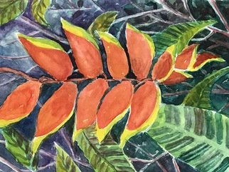 Julie Van Wyk; Lobster Claw, 2017, Original Watercolor, 11 x 14 inches. Artwork description: 241 Botanical gardens in Hilo...