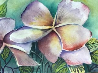 Julie Van Wyk; Plumeria, 2017, Original Watercolor, 16 x 12 inches. Artwork description: 241 Hawaiin plumeria ...