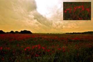 Eric Andrieu; Les Coquelicots, 2009, Original Digital Art, 120 x 80 cm. Artwork description: 241  Not avalaible at this time - Coming soon !Numeric Oil for giclee & high prints on art papers & supports  ( canvas, waterpaper, ultraphoto paper, pvc, aluminium, wood, . . . ) in various sizes. ...