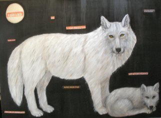 Rita Levinsohn; Aerial Hunting, 2009, Original Painting Acrylic, 40 x 30 inches. Artwork description: 241  Painting portrays wolves that are being murdered in Alaska. ...