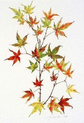 Lucy Arnold; Japanese Maple, 1997, Original Giclee Reproduction, 18 x 24 inches. Artwork description: 241 Signed, limited edition giclee print of original watercolor.  This peaceful, delicate image captures the many colors and nuances of japanese maple leaves in autumn....