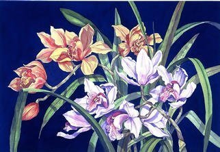 Lucy Arnold; Orchids In Blue, 1996, Original Giclee Reproduction, 24 x 18 inches. Artwork description: 241 Signed, limited edition of original watercolor.  This realistic painting is of cymbidium orchids from my garden. ...