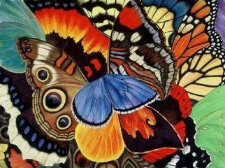 Lucy Arnold; Wings Of California, 2000, Original Giclee Reproduction, 24 x 18 inches. Artwork description: 241 Signed, limited edition giclee print of original pastel.  These magnificent butterflies are all found in California for at least part of their lives.  The colors are very rich and saturated....