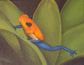 Nicola Lupoli; Tree Frog, 2003, Original Painting Oil, 10 x 8 inches. 