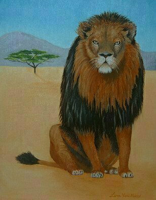 Lora Vannoord, 'African Lion', 2015, original Painting Oil, 11 x 14  x 1 inches. Artwork description: 1911  African Lion oil painting on a canvas Board with a one inch wooden frame. ...