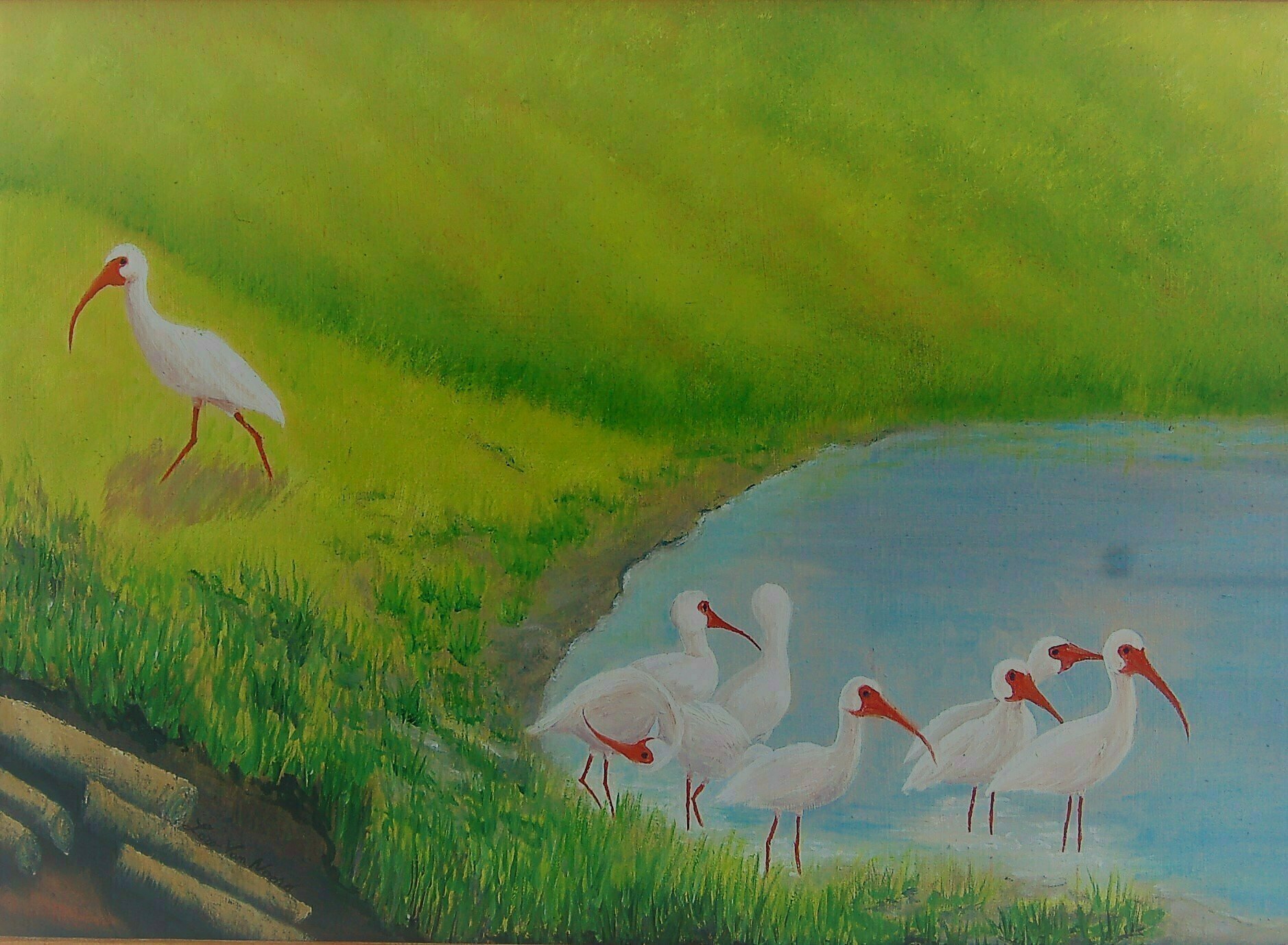 Lora Vannoord, 'Ibis Birds', 2016, original Painting Oil, 20 x 14  x 1 inches. Artwork description: 1911 Original oil painting of White Ibis birds at a pond in Florida.   I love to watch them run around in a group looking for food.  Includes custom wooden frame.  ...