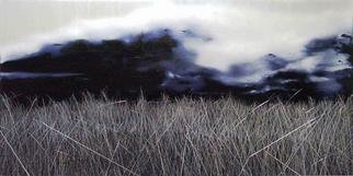 Mark Maxwell; Dreamfield I, 2005, Original Painting Oil, 100 x 50 cm. Artwork description: 241 oil on aluminium...