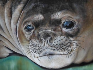 Michelle Iglesias; Ocean Seal, 2012, Original Painting Oil, 24 x 18 inches. Artwork description: 241  seal, sea, cold, water, reflection, eye, eyes wiskers, fat rolls, fur, fury, cute, adorable, childlike, childish, real, realism, nose, wrinkled, brown, white, black, green, teal, blue, tan, sad, happy, upset, emotional, michelle iglesias, oil painting, animal, cloud, sky, mountain, eyelash, eyebrow, mouth, smiling ...