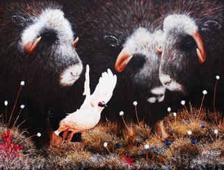 Mike Ross; I Am Outta Here, 2014, Original Painting Oil, 48 x 36 inches. Artwork description: 241  A group of musk ox come upon a rock ptarmigan who has decide to peel out of this situation. Oil on Canvas.Key Words:Musk ox, rock ptarmigan, ptarmigan,  Nome, Alaska, big game, cotton grass, raindeer moss, blue berries, dark browns, oil paintings, oils, large oils, prints, ...