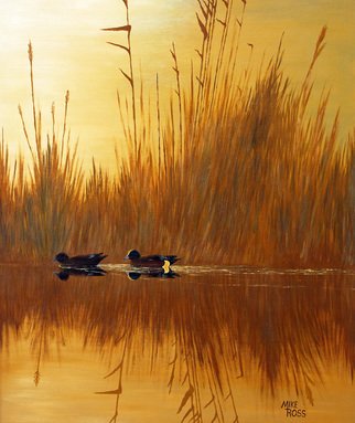 Mike Ross; Widgeons, 2011, Original Painting Oil, 24 x 30 inches. Artwork description: 241  American widgeon, widgeon, baldpates, birds, ducks, puddle ducks, dabblers,  browns, yellows, sunsets, sunrises, animals, waterfowl, wildfowl, water birds, marsh, wetlands, sloughs, swamps, bayou, rushes, cattails, bull rushes, oil paintings, oils, large oils, prints, rolled prints, framed prints, animals, wildlife, wildlife art, landscapes, sunsets, sunrises, fine art, contemporary ...