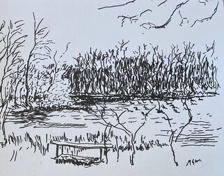 Michael Garr; Spring Pond Geese Peepers, 2024, Original Drawing Pen, 14 x 11 inches. Artwork description: 241 Afternoon ink drawing of the pond in early spring...