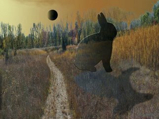 Nancy Bechtol, 'Moon Rabbit', 2008, original Photography Other, 1 x 1  x 1 cm. Artwork description: 2703  the mystical landscape where reality of the place itself has a presence beyond words1. 1. 1. digital sizes per request, varies small to big ...