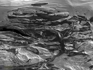 Cris Orfescu; Igneous Rocks No1, 2012, Original Sculpture Other, 48 x 33 cm. Artwork description: 241  Nanolandscape: colloidal graphite dried on a substrate and visualized with a scanning electron microscope ( courtesy of Applied Analytical Sciences in Costa Mesa, California) . The image was captured in a computer and printed on Epson Ultra Premium Photo Paper Luster with archival inks specially formulated to last for ...