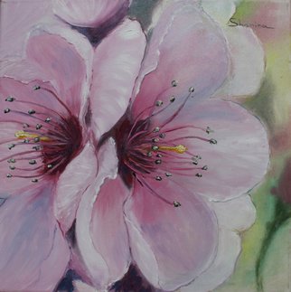 Shanina Nataliia; Beautiful Spring Flowers, 2016, Original Painting Oil, 12 x 12 inches. Artwork description: 241  flowers, beauty, tenderness, oil painting, cool, art, draw, pastel colors, sunshine ...