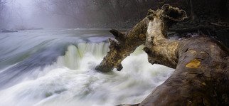 Stephen Robinson; How Trees Catch Fish, 2013, Original Photography Digital, 19 x 13 inches. Artwork description: 241 The raging Potomac at flood stage  Christmas, 2013...