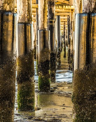 Dick Drechsler; Under The Boardwalk, 2018, Original Photography Mixed Media, 16 x 20 inches. Artwork description: 241 This photograph was taken under the Ventura Pier in Southern California. It is printed here in aluminum which brings out the luster of the shiny pilings. ...
