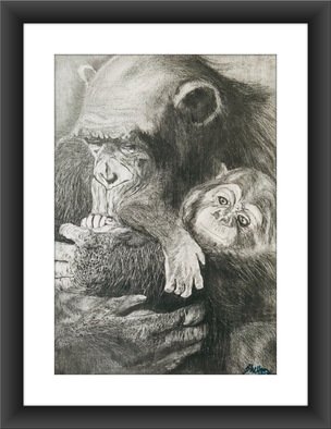 Shelton Barnes; Apes, 2020, Original Drawing Graphite, 11.7 x 16.5 inches. Artwork description: 241 Mother Ape with her baby, done on A3 size paper using graphite.  Sold without frame. ...