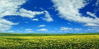 Sergio Zampieri; Serene Horizon, 2010, Original Painting Oil, 40 x 20 inches. Artwork description: 241      Original oil painting on canvasspring yellow flowers field green clouds sky blue   ...