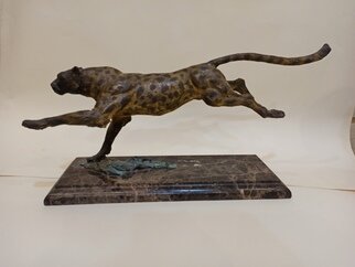 Serhii Brylov; Guepard, 2004, Original Sculpture Bronze, 57 x 27 cm. Artwork description: 241 The slender cheetah, cheetah or pardus  Acinonyx jubatus  is the only modern species of the genus Cheetah  Acinonyx  in the felinae family. According to genetic research, the closest modern relative of the cheetah is the cougar. The cheetah is the fastest terrestrial mammal, capable of reaching speeds, ...