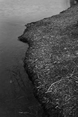 Steven Brown; The Edge Of The Water, 2013, Original Photography Black and White, 16 x 16 inches. Artwork description: 241    water, black & white, nature, fine art, fine art photography, reductivism, minimilism     ...