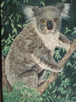Teresa Peterson; Koal Bear, 2005, Original Painting Acrylic, 12 x 16 inches. Artwork description: 241     wildlife, animals, koala, acrylic, painting      ...