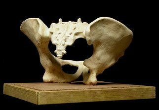 Terry Mollo, 'Pelvic Structure', 2010, original Ceramics Handbuilt, 12 x 12  x 12 inches. Artwork description: 1911  The word pelvis derives from the Latin meaning bowl. Study of a female pelvis and sacrum carved from a block of clay, fired stoneware. Base is terra cotta and woodframe. ...