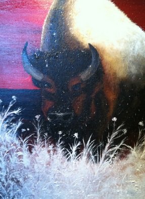 Jamie Voigt; Snow Buffalo, 2012, Original Painting Acrylic, 24 x 30 inches. Artwork description: 241  South Dakota Buffalo after snow fall  ...