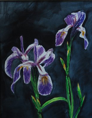 Wendy Goerl; Purple Flags, 2012, Original Watercolor, 8 x 10 inches. Artwork description: 241   One of four varieties of wild iris found along the Shawano Lake Outlet Channel, near the Wolf River, Shawano, WI.  Matted and ready for 11x14