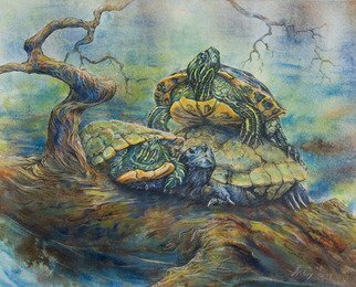 Deborah Wilson; Higher Perspective, 2014, Original Watercolor, 16 x 14 inches. Artwork description: 241 Turtles on a log in a river.  Ozarks   water turtle   river scene...
