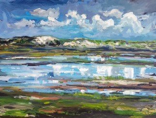 Wim Van De Wege; Nature Area Het Zwin 1, 2019, Original Painting Oil, 80 x 60 cm. Artwork description: 241 The nature reserve Zwin Dunes and Zwin Polders 222 ha is together with its big brother the Zwin a continuous nature area in the Zwin area in Belgium and the Netherlands.  oil on canvasIThe last years Wim van de Wege is a rising artist in Europe and ...