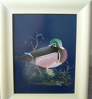Al Johannessen: 'Wood Duck', 2010 Oil Painting, Birds.  Close up of Wood Duck ...