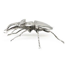 stag beetle stainless steel  By Anne Pierce