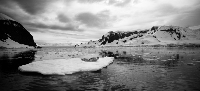 Artist Arsen Revazov. 'Antarctica 7' Artwork Image, Created in 2015, Original Photography Black and White. #art #artist