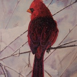 Cardinal in the Snow By Judith Smith Wilson