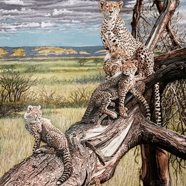 Judith Smith Wilson Artwork Once, Twice, Three Times A Cheetah, 2015 Watercolor, Wildlife