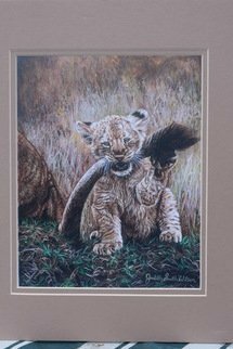 Judith Smith Wilson: 'tail hook', 2017 Watercolor, Wildlife. Baby lion with mom s tail in it s mouth, matted ready to be framed. ...