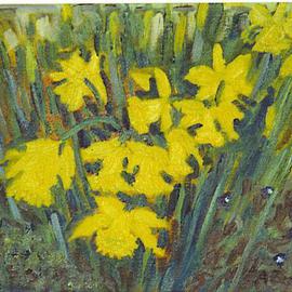 Aurelio Zerla: 'Daffodils', 2004 Oil Painting, Floral. Artist Description: Narcissus flowers in front of my home.  Here I enjoyed sitting on the ground to capture the sense of closeness to these flowers and their intense color. ...