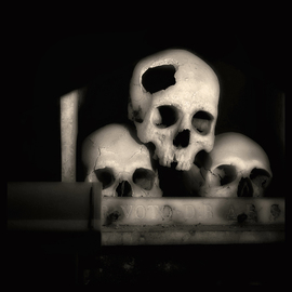 Augusto De Luca: 'skull 1 - by augusto de luca', 2017 Black and White Photograph, Death. Artist Description: Skull 1 - by Augusto De Luca. ...