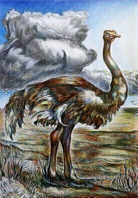 Austen Pinkerton: 'OSTRICH', 2015 Crayon Drawing, Wildlife.       animals desert landscape birds africa clouds storms   ...