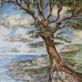 Tree On Clifftop By Austen Pinkerton
