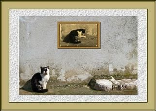Dragutin Barac: 'Cat', 2011 Color Photograph, Cats.  Photography, photoshop manipulated. ...