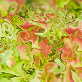 Bruno Paolo Benedetti: 'abstraction of leaves', 2014 Color Photograph, Abstract. Artist Description:  abstractions of tree leaves with many shades. Colors of the nature in summer, red and green. A very soft blend of light colors and shades. Limited edition print 1 of 1 size 20x30 inches on wrapped canvas2Keywords abstract, abstractions- leaves, abstract- photography, canvas, colors- nature, colors- summer, ...