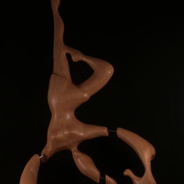 Berthold Neutze: 'Why She Couldnt Stay', 2010 Wood Sculpture, Abstract. Artist Description:      beechwood, oiled, 2010    ...